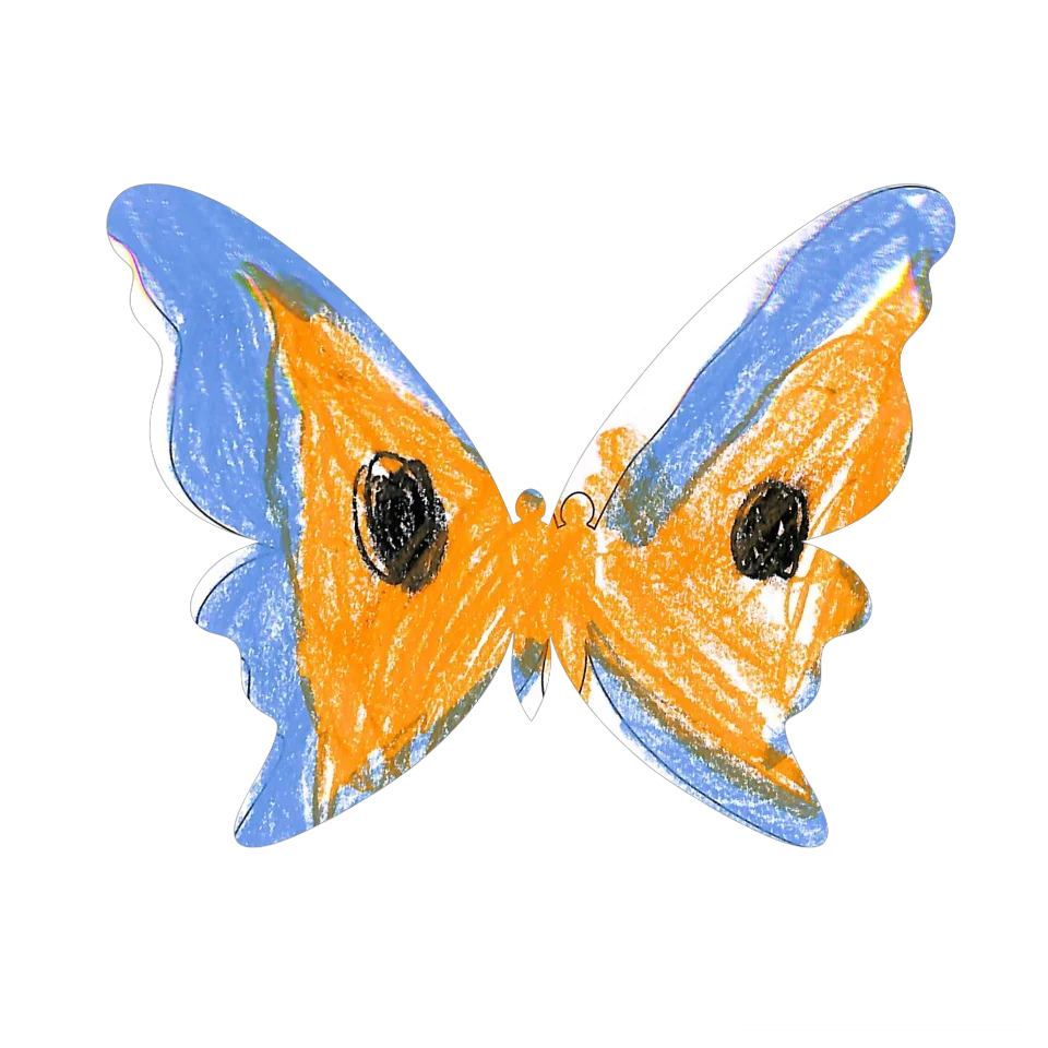 Original Butterfly Image