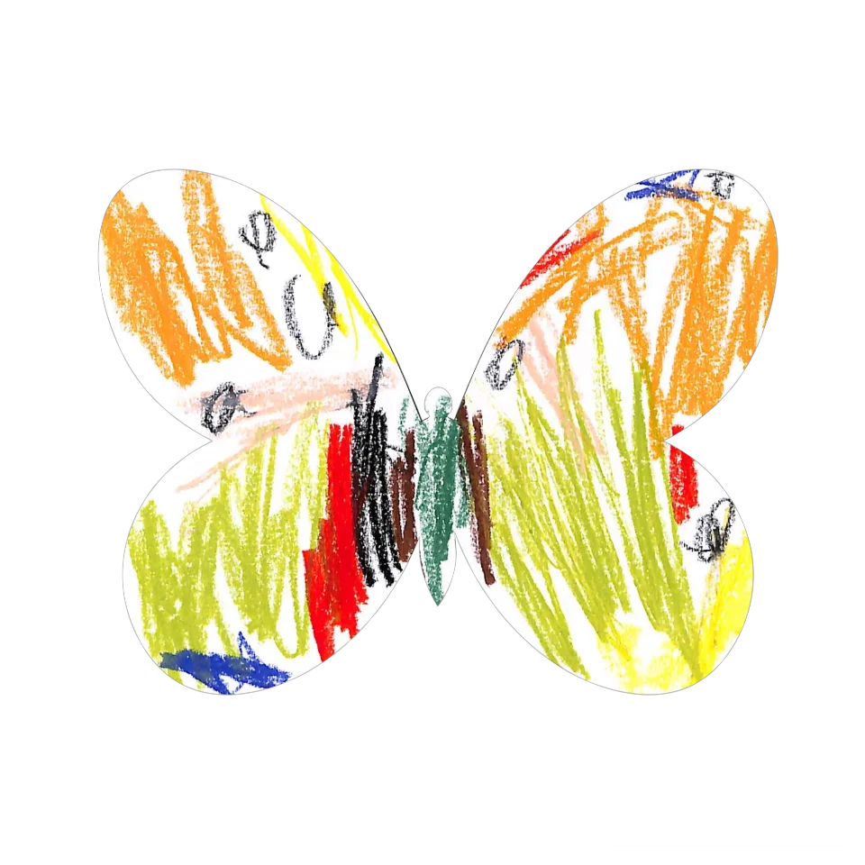 Original Butterfly Image