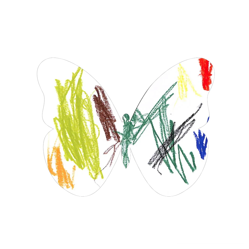 Original Butterfly Image