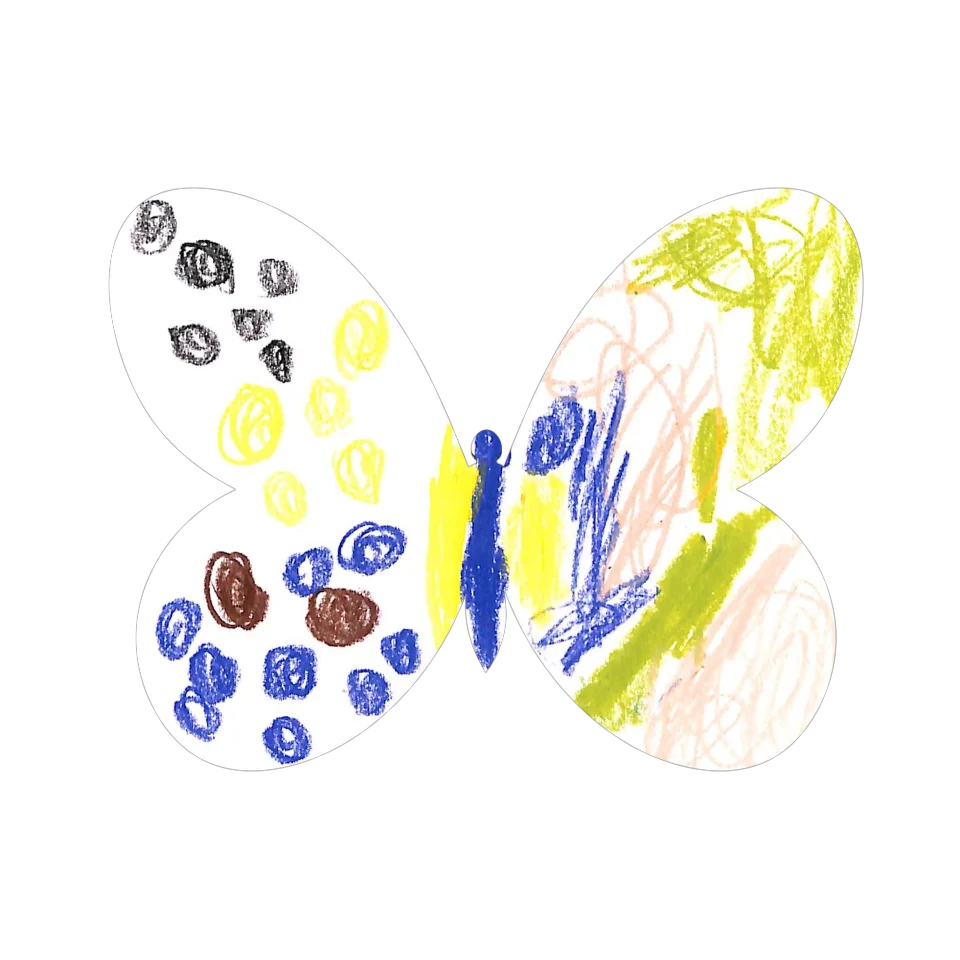 Original Butterfly Image