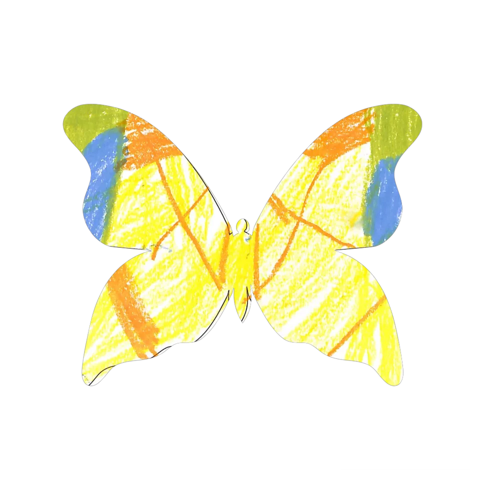Original Butterfly Image