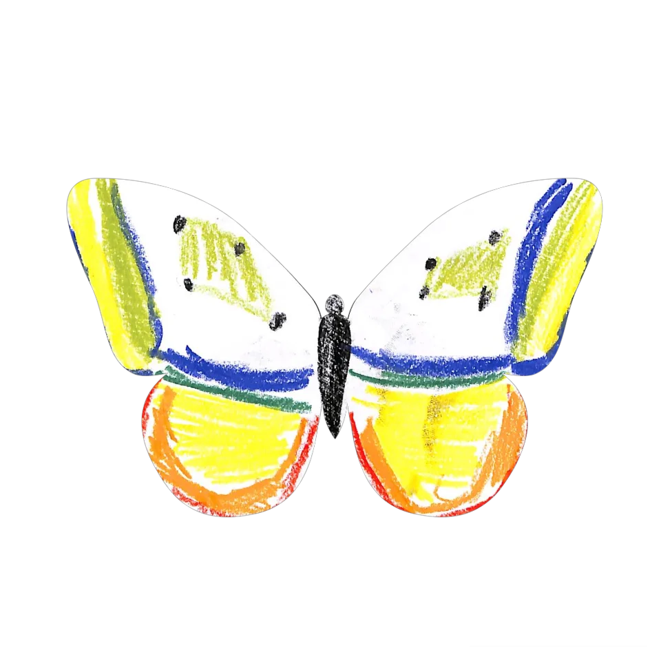 Original Butterfly Image