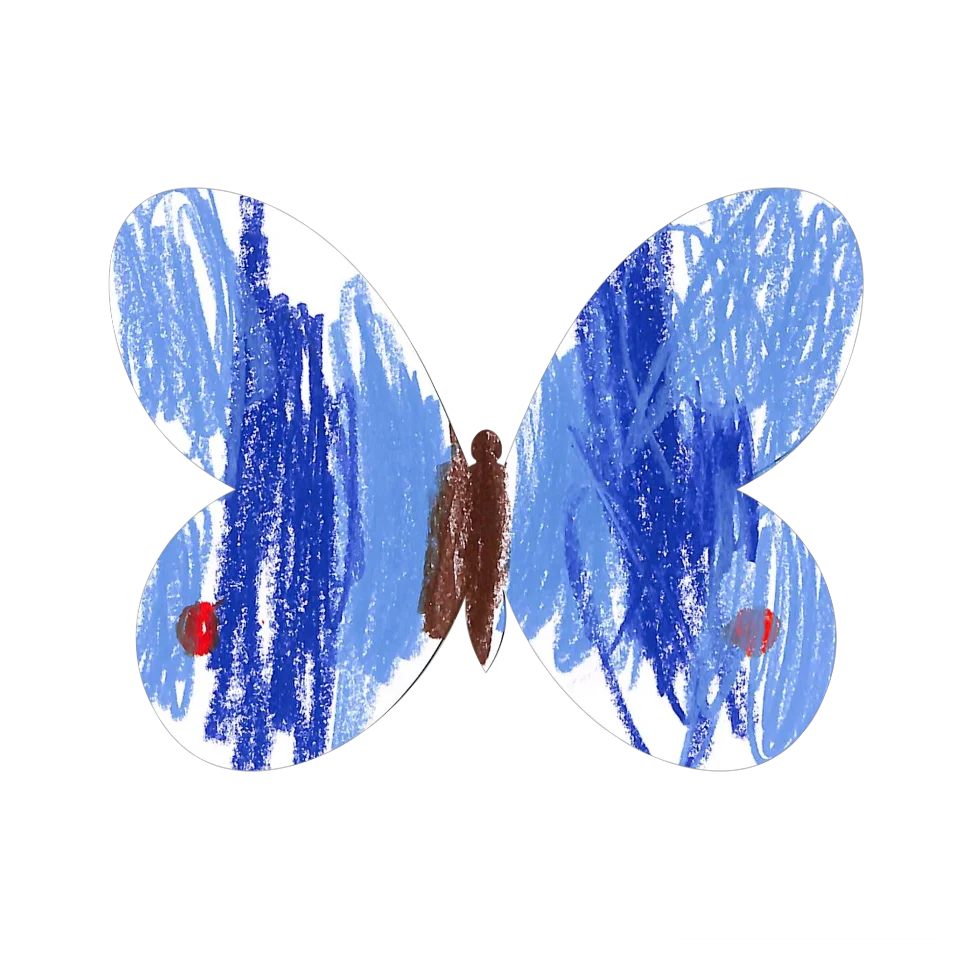Original Butterfly Image