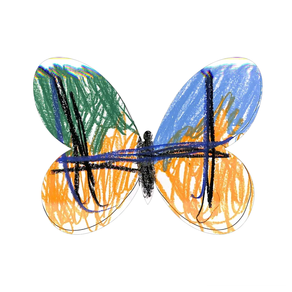 Original Butterfly Image