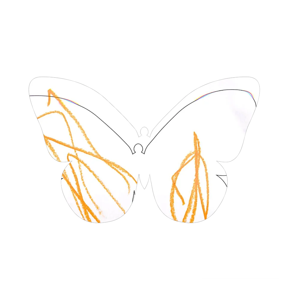 Original Butterfly Image