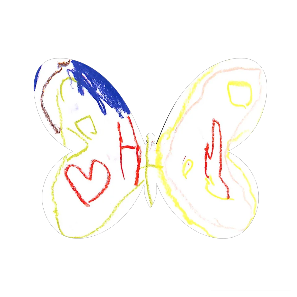 Original Butterfly Image