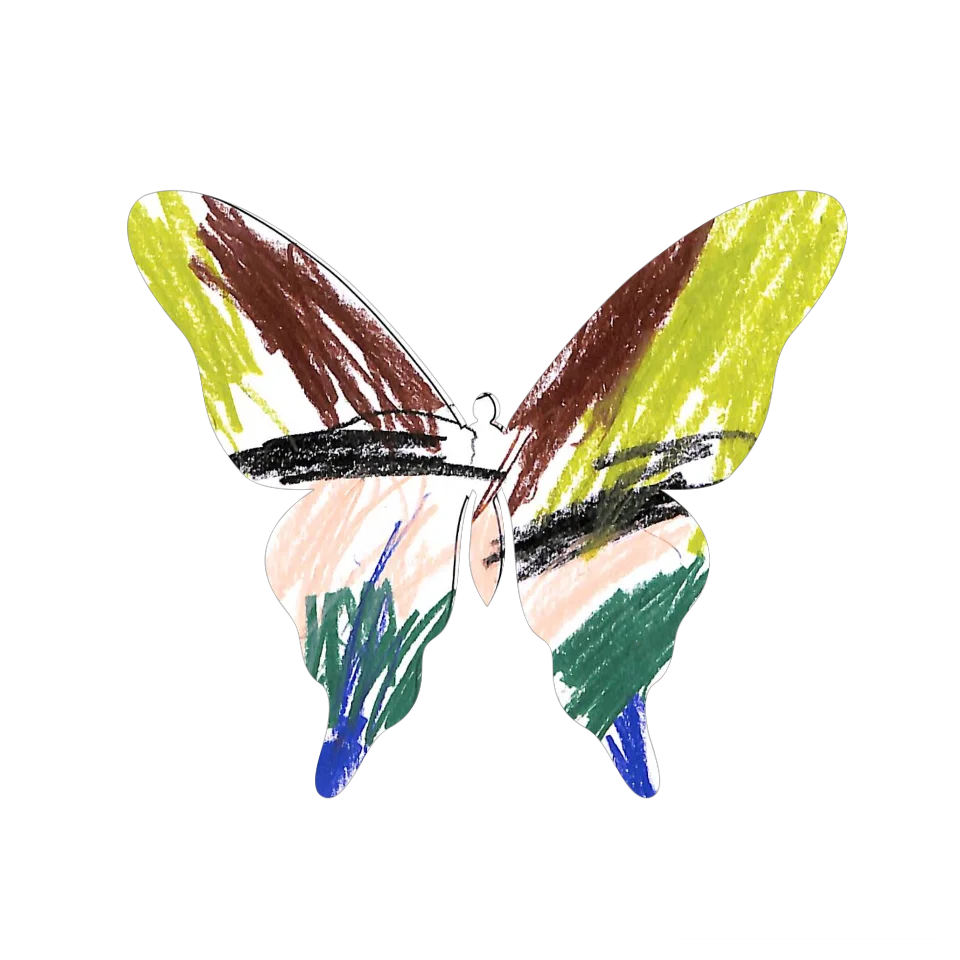 Original Butterfly Image