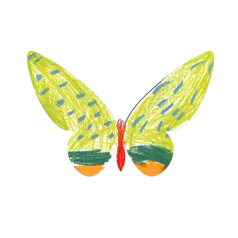 Original Butterfly Image