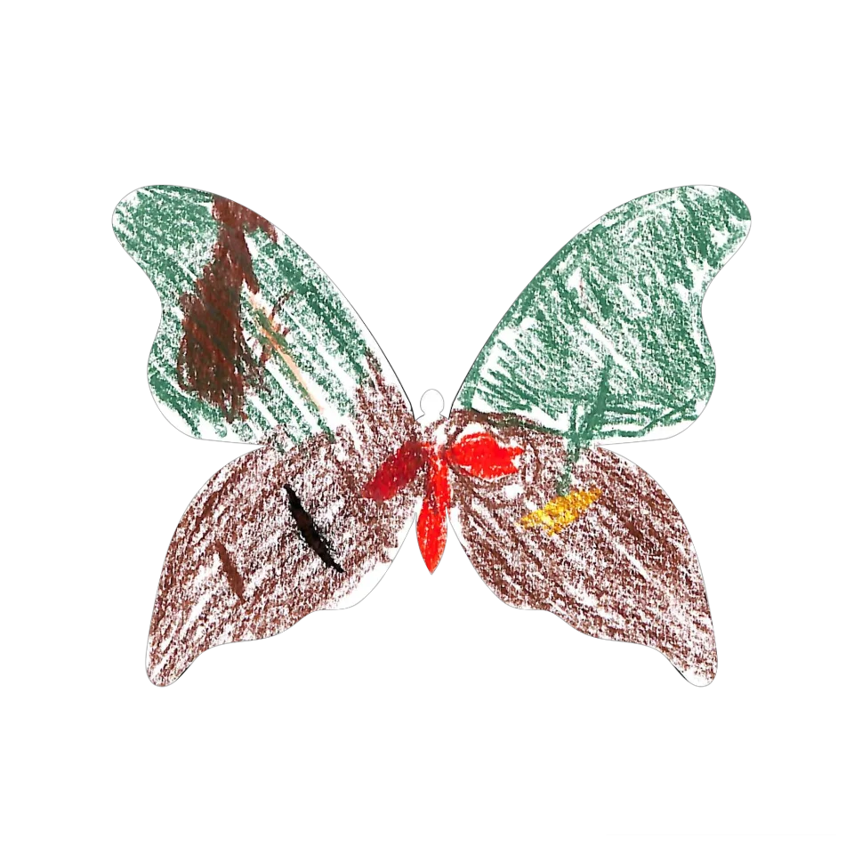 Original Butterfly Image