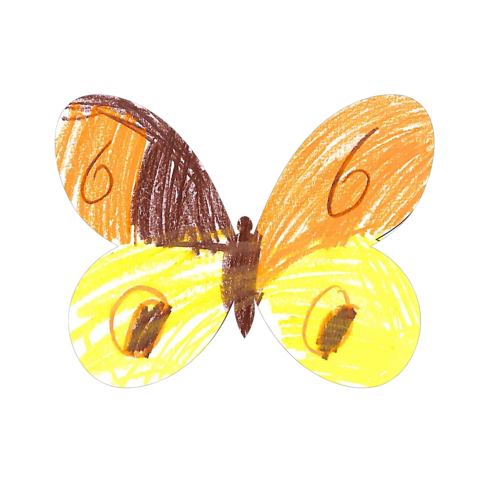 Original Butterfly Image