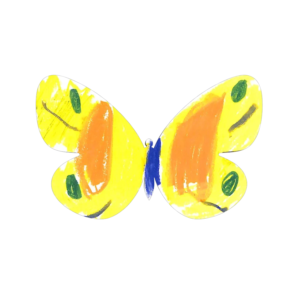 Original Butterfly Image