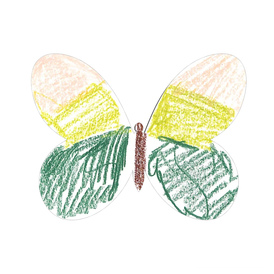 Original Butterfly Image
