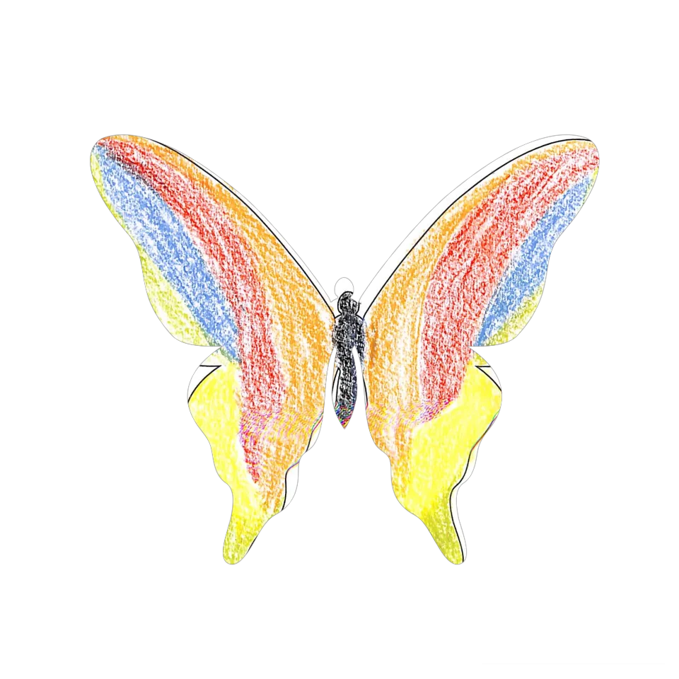 Original Butterfly Image