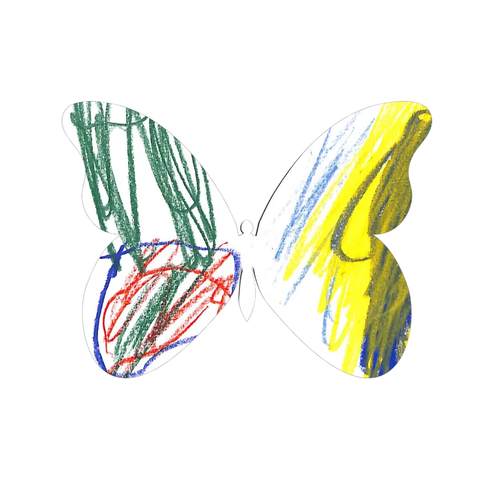 Original Butterfly Image