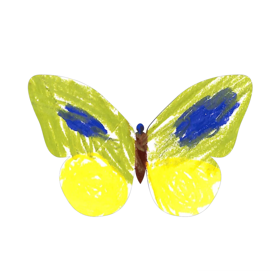 Original Butterfly Image