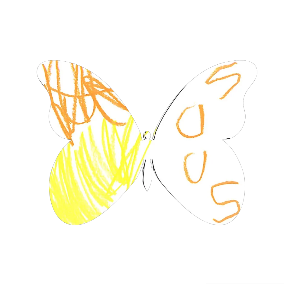 Original Butterfly Image