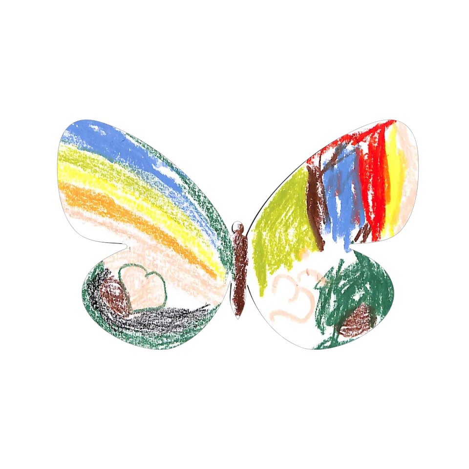 Original Butterfly Image