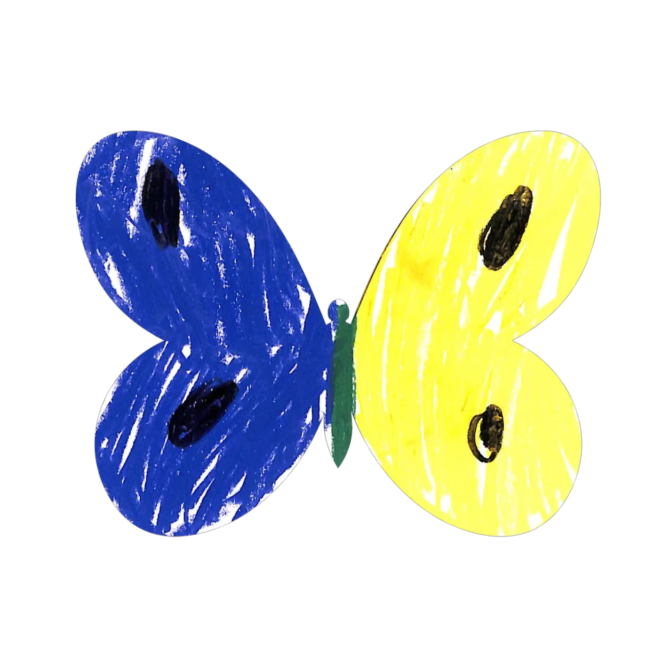 Original Butterfly Image