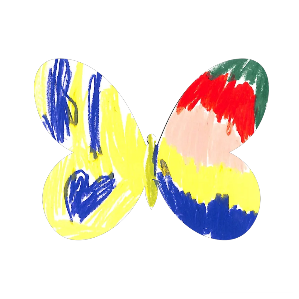 Original Butterfly Image