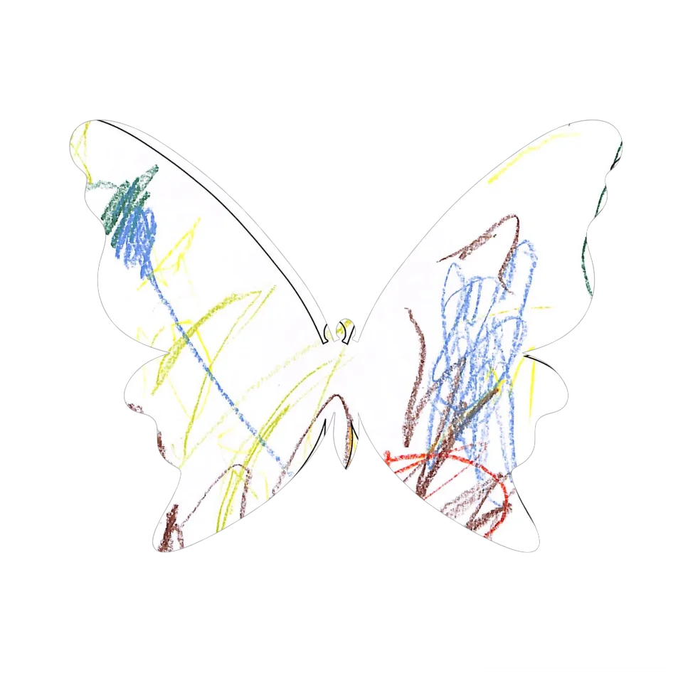 Original Butterfly Image