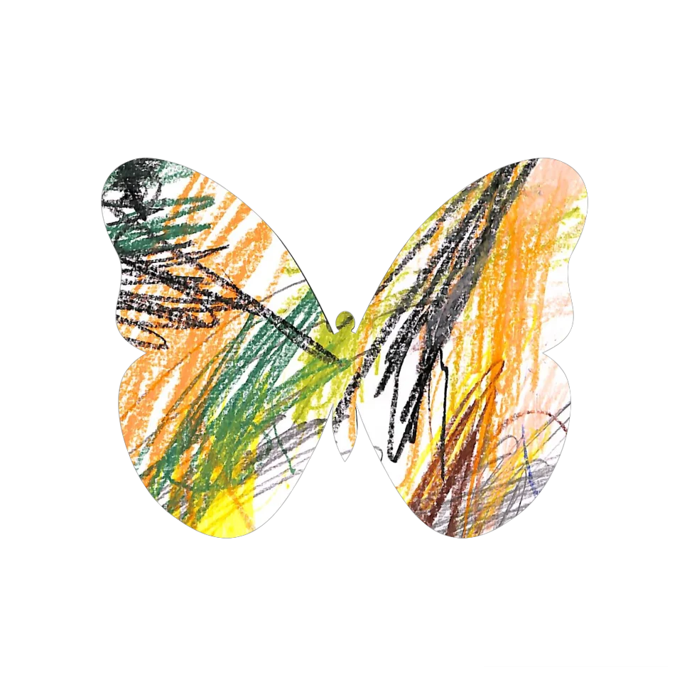 Original Butterfly Image