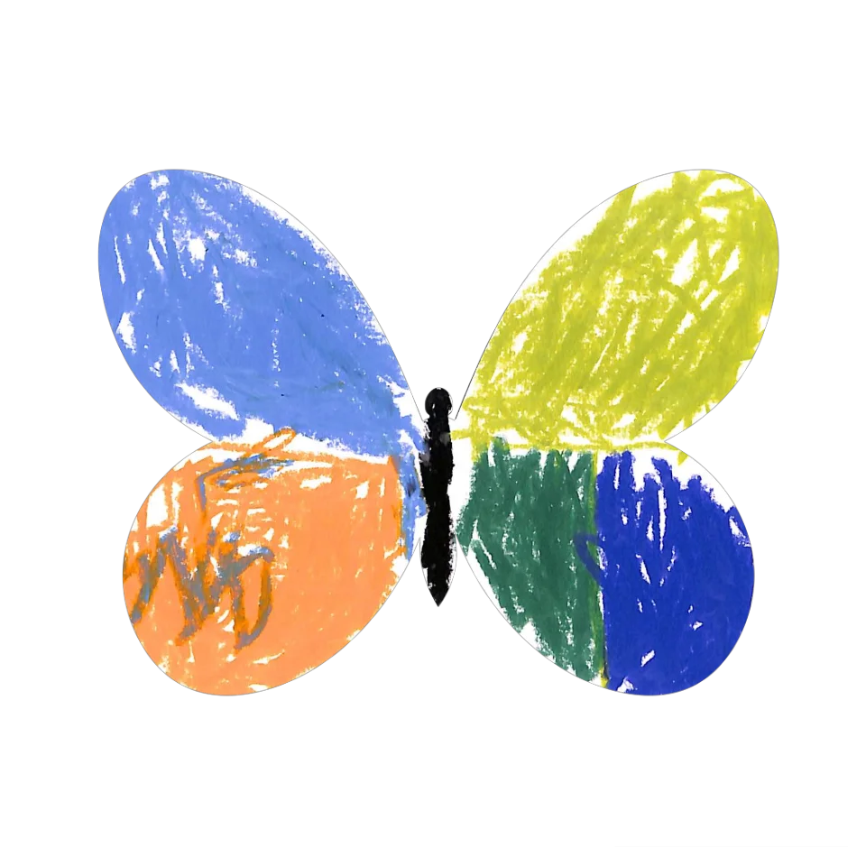 Original Butterfly Image