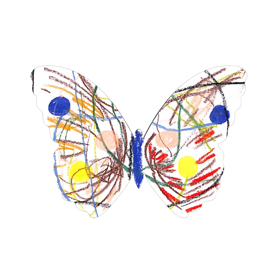 Original Butterfly Image