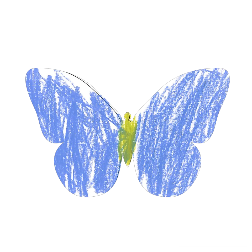 Original Butterfly Image