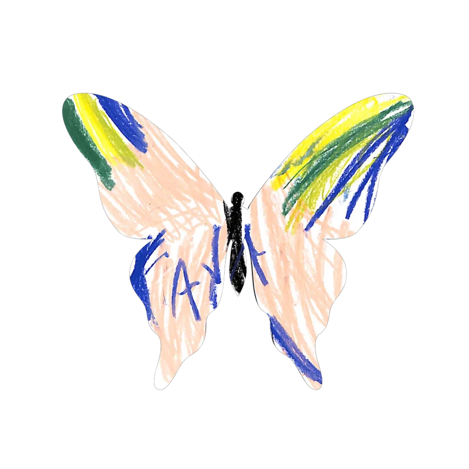 Original Butterfly Image