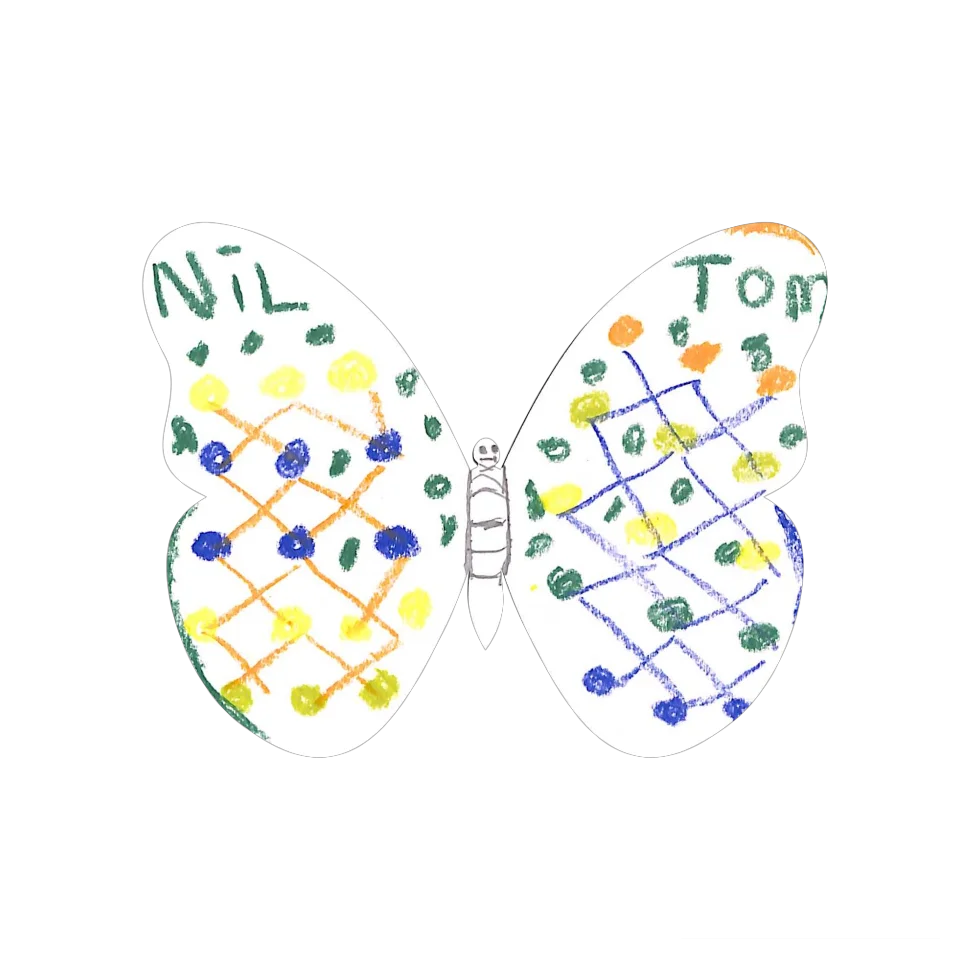 Original Butterfly Image