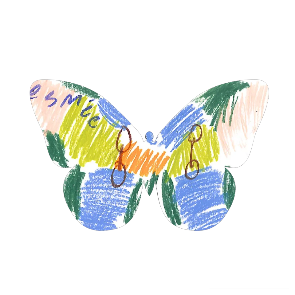 Original Butterfly Image