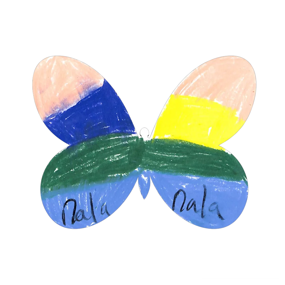 Original Butterfly Image
