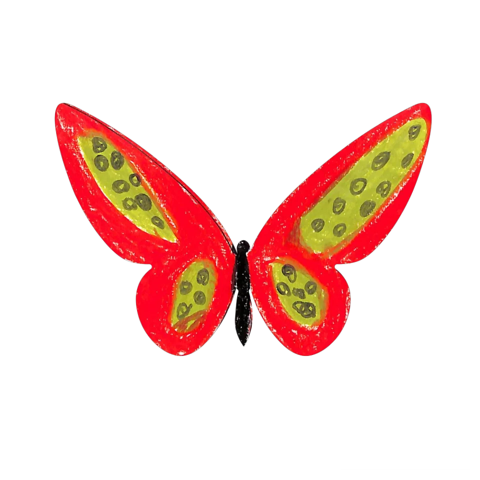Original Butterfly Image