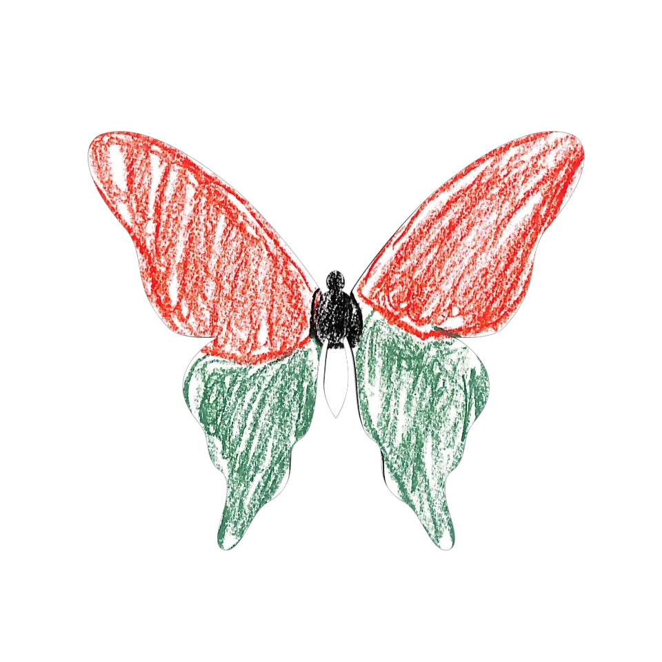 Original Butterfly Image
