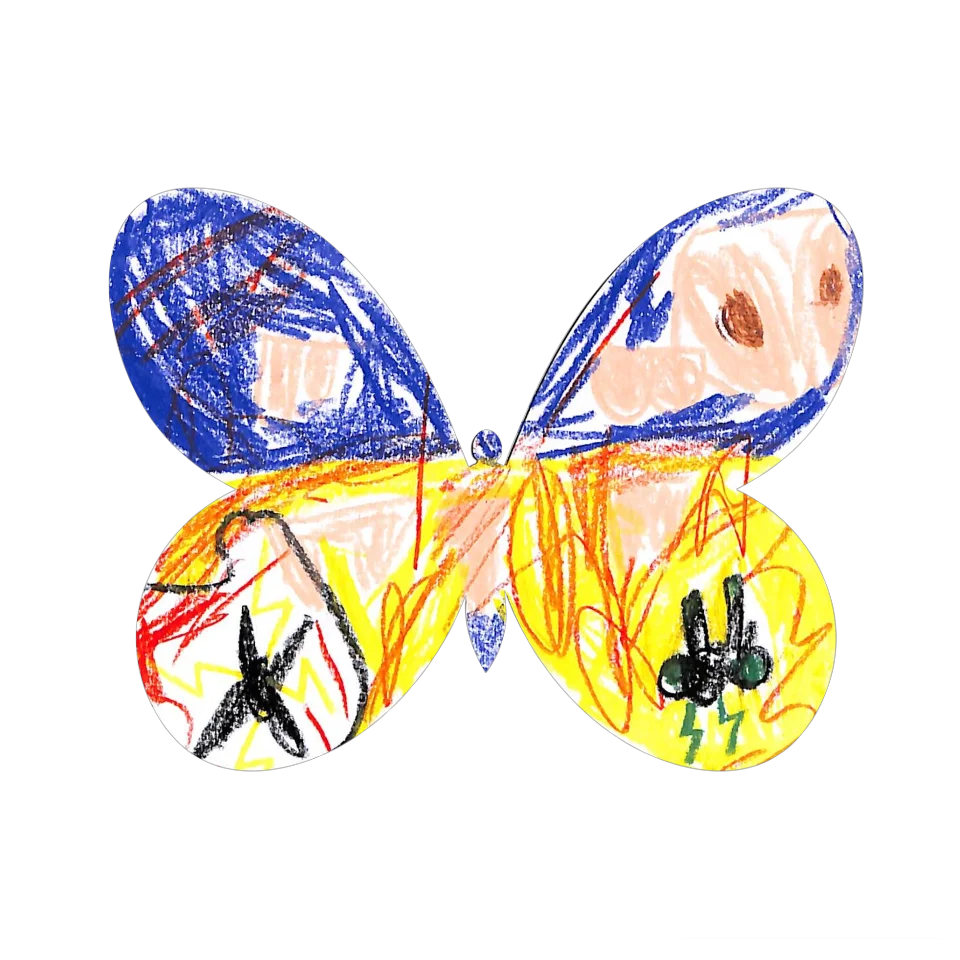 Original Butterfly Image
