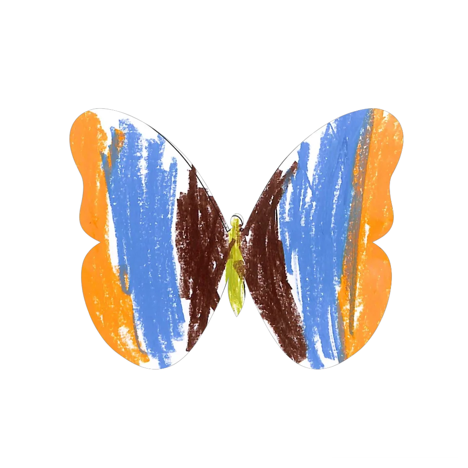 Original Butterfly Image