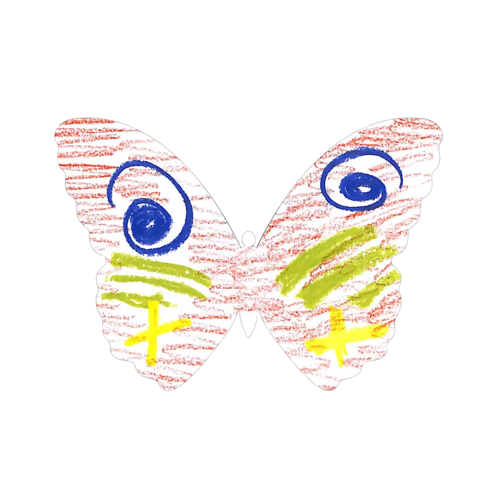 Original Butterfly Image