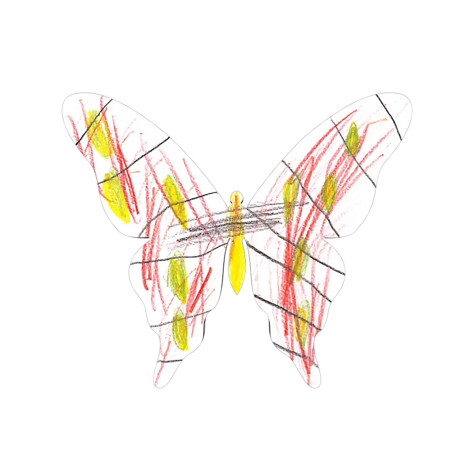 Original Butterfly Image