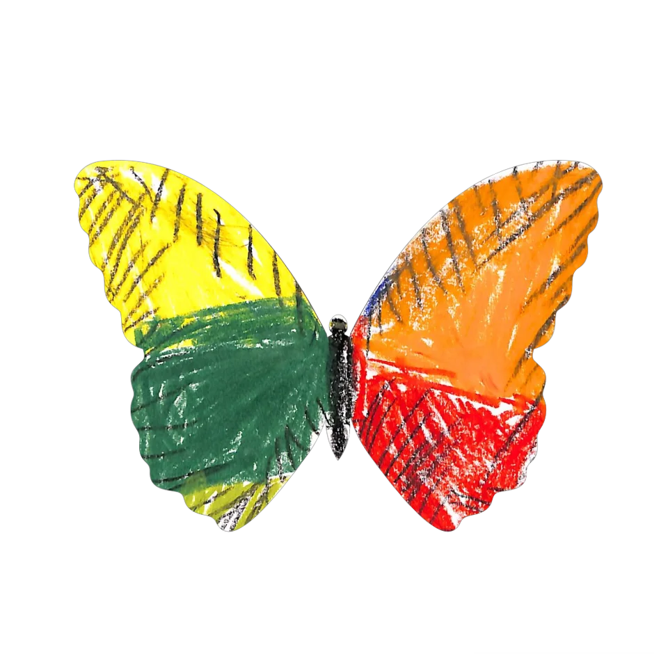 Original Butterfly Image