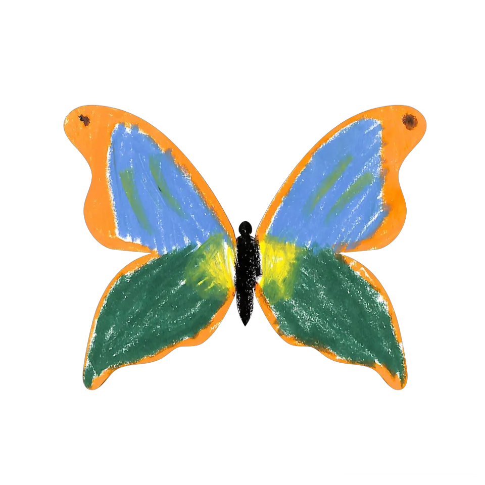 Original Butterfly Image