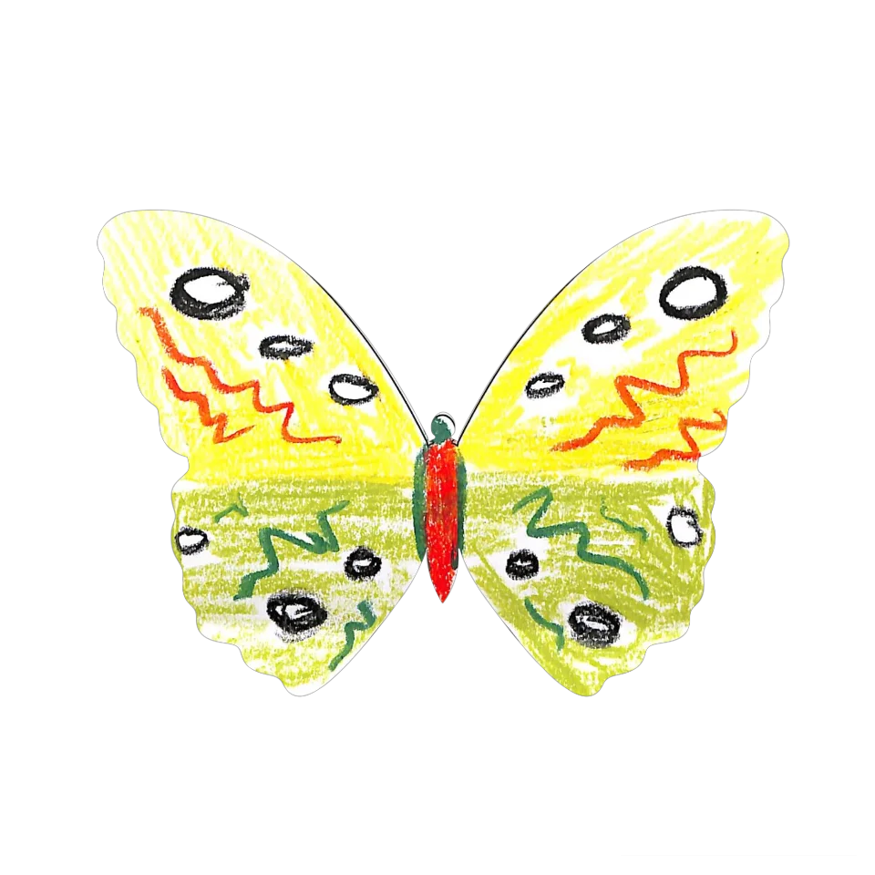 Original Butterfly Image