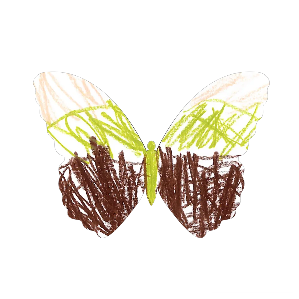 Original Butterfly Image