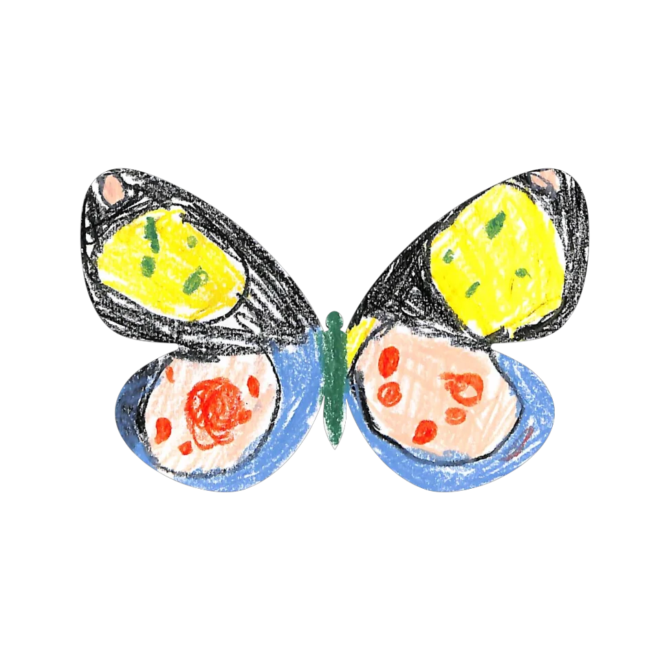 Original Butterfly Image