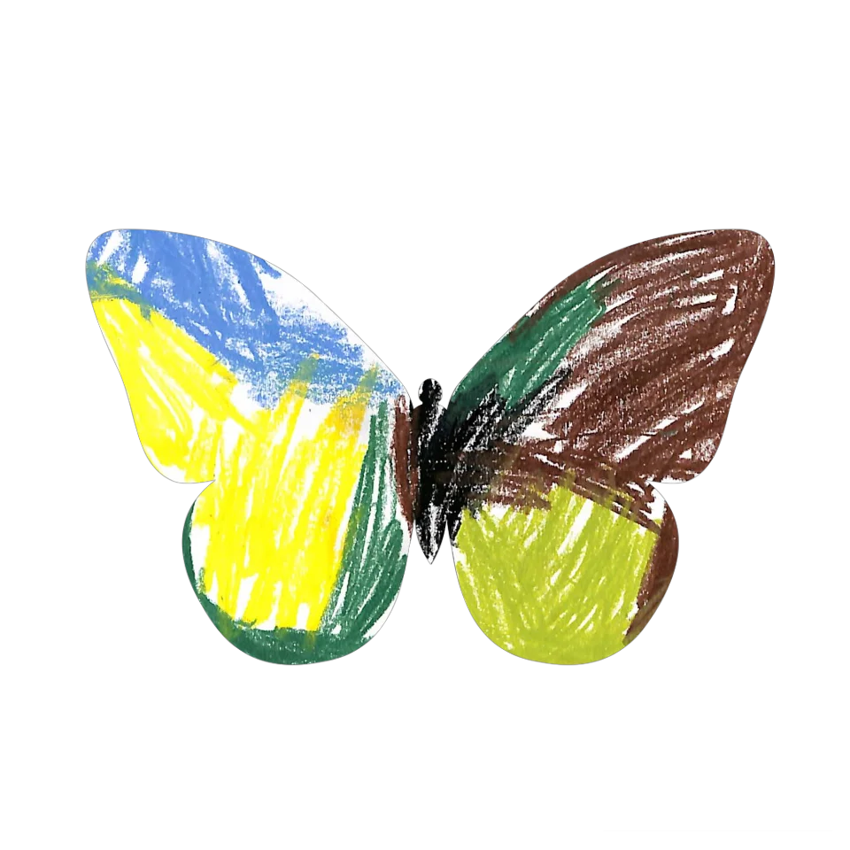 Original Butterfly Image