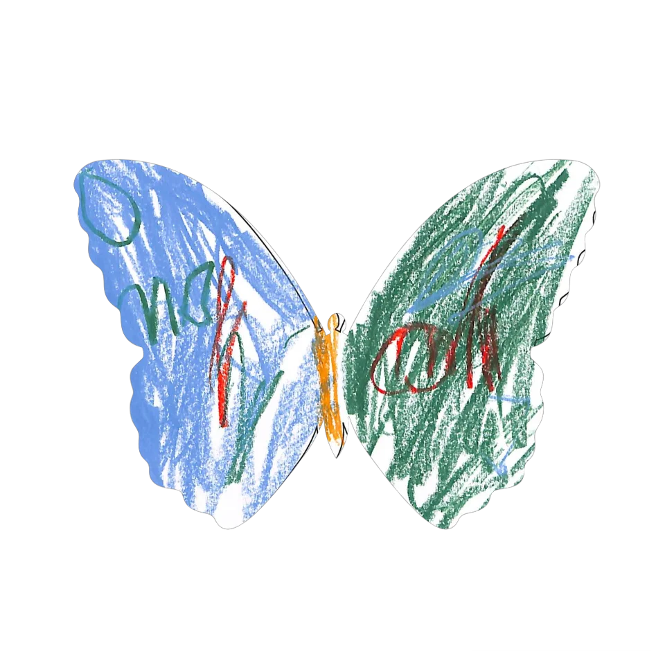 Original Butterfly Image