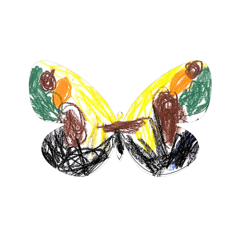 Original Butterfly Image