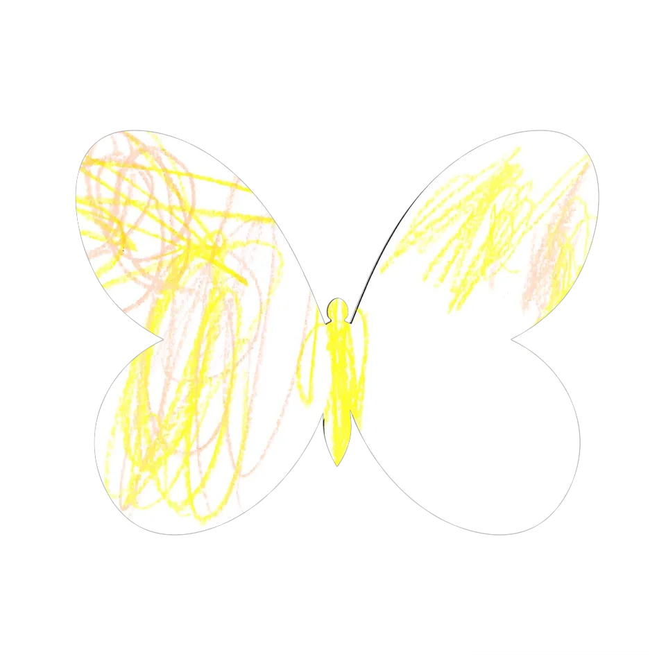 Original Butterfly Image