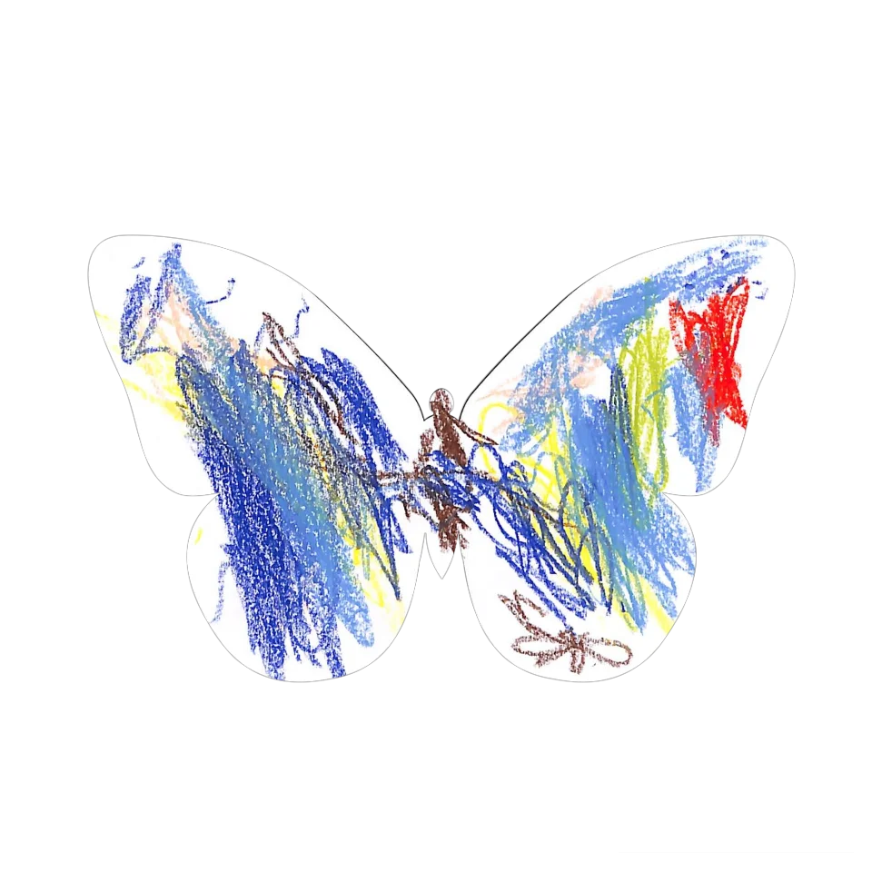 Original Butterfly Image