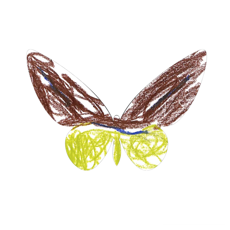 Original Butterfly Image