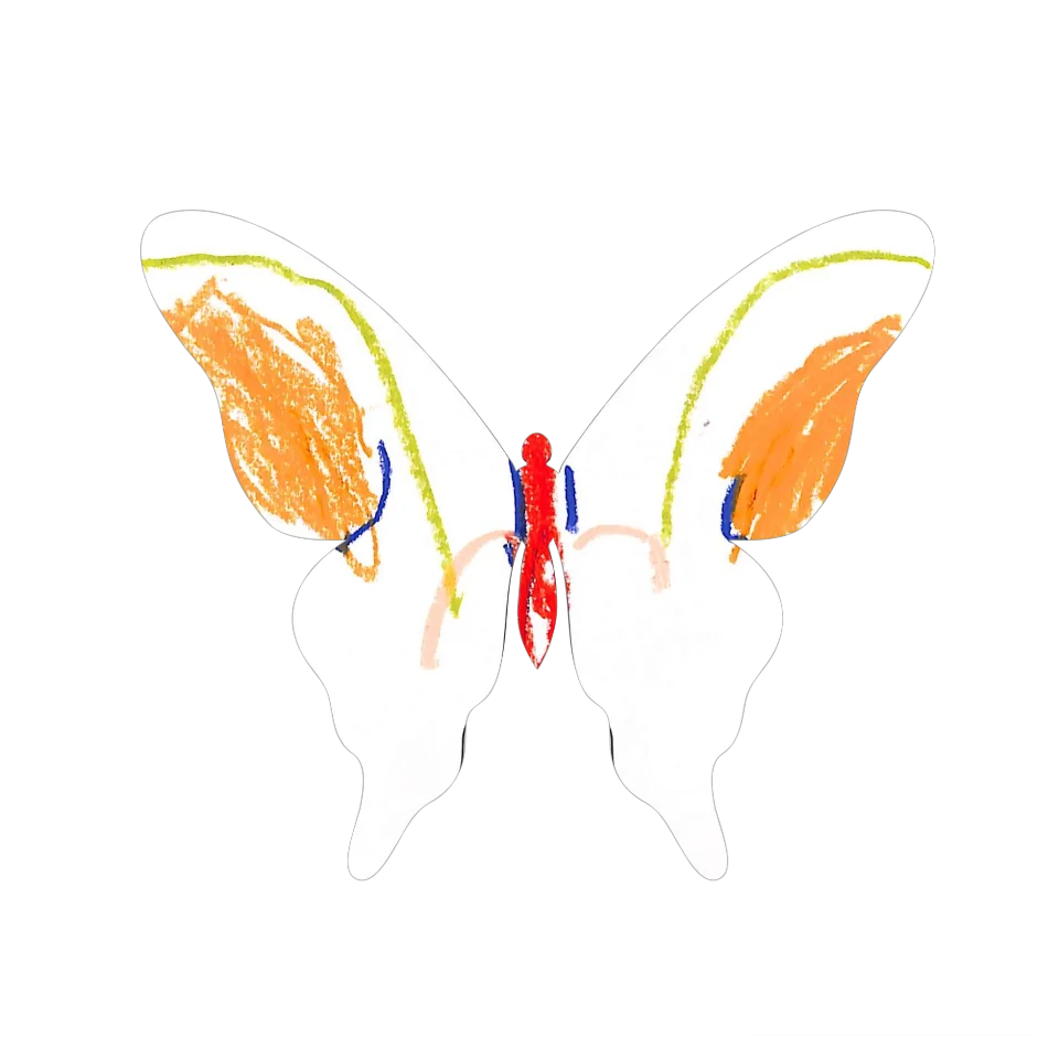 Original Butterfly Image